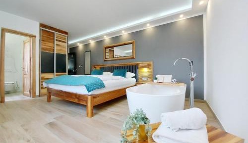 Superior Deluxe Double or Twin Room 