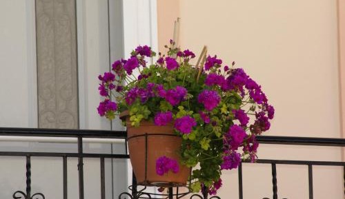 Triple Room with Balcony