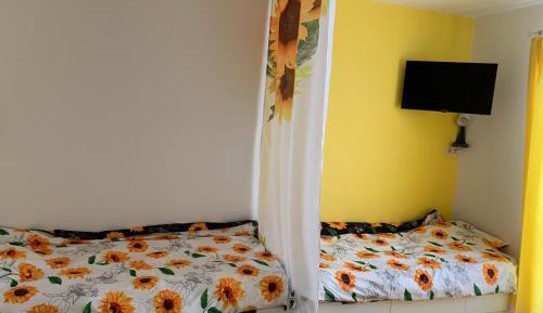 Twin Room with Garden View
