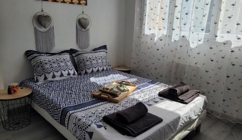 Standard Apartment