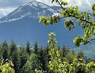 Double Room with Mountain View
