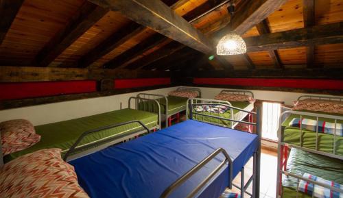 Mixed Dormitory Room