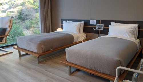 Superior Double or Twin Room with Mountain View