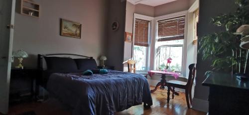 Budget Single Room