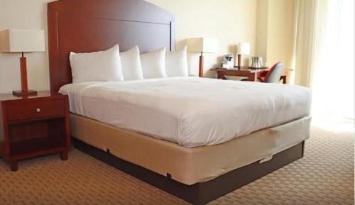 Executive Studio Suite