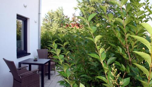 Double Room with Terrace