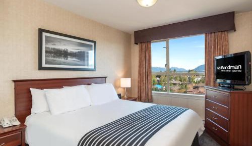 Standard Suite, 1 King Bed, Sofa Bed, Kitchen
