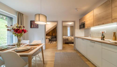 Duplex Apartment