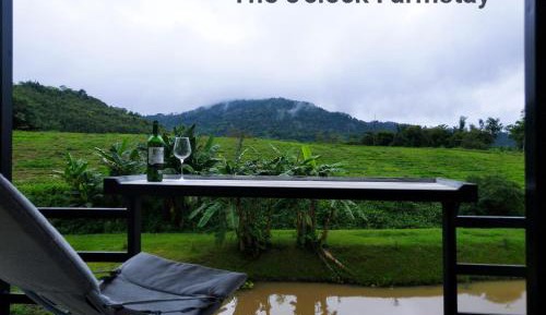 Double Room with Mountain View