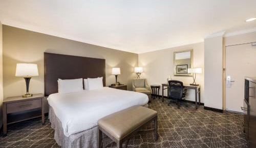 King Suite with Sofa Bed