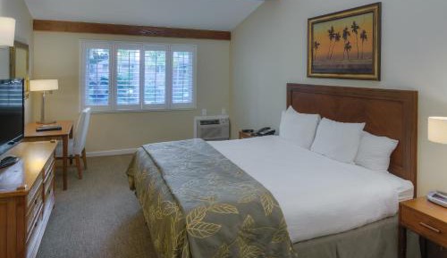 Standard Room, 1 King Bed, Marina View