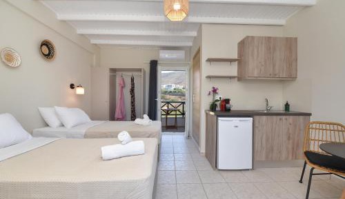 Deluxe Double or Twin Room with Balcony