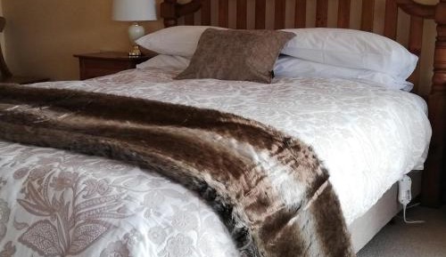 Deluxe Queen Suite