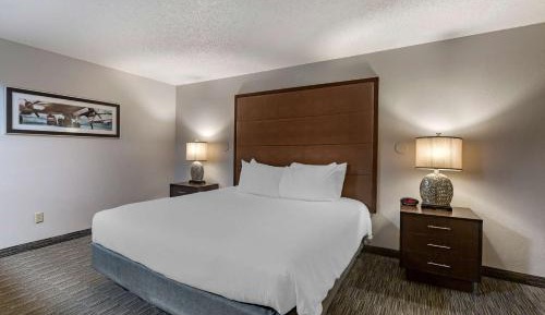 One-Bedroom King Suite with Sofa Bed and Wet Bar