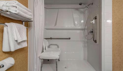 King Room with Roll-In Shower - Disability Access