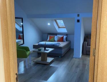 Standard Apartment