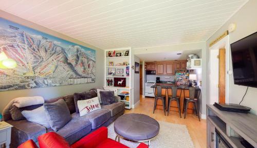 One Bedroom Apartment