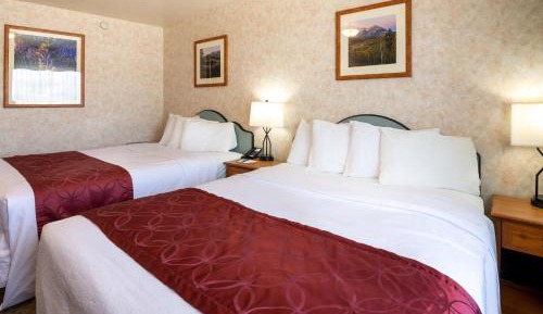 1 Bedroom - 2 Queen Beds
