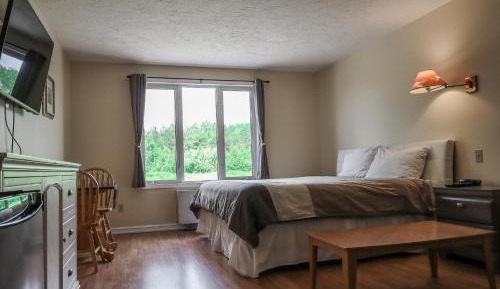 Deluxe King Suite