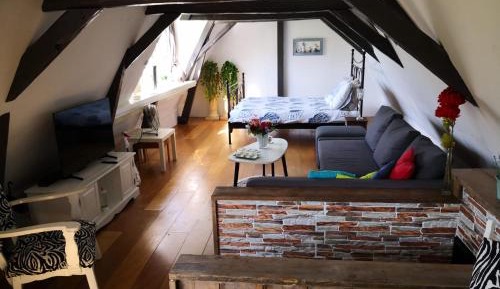 Studio Apartment