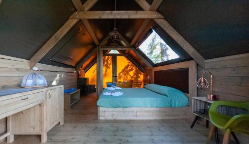 Standard Tent