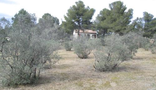 One-Bedroom House