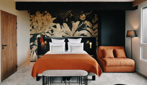 Deluxe Suite - 1 King Bed 2 Sofa Beds for 1 person