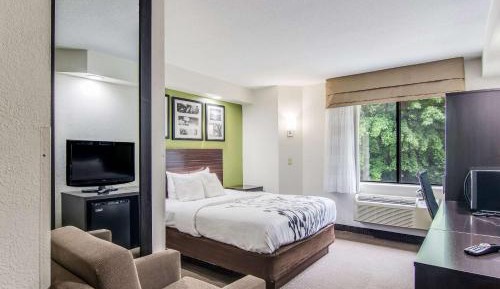 Queen Room - Accessible/Non-Smoking