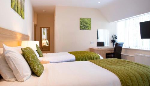 Standard Twin Room