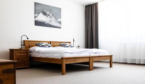 Large Double or Twin Room