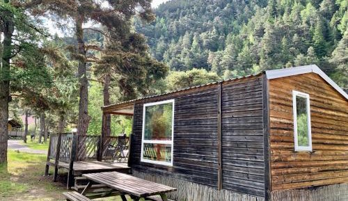 Mobile Home