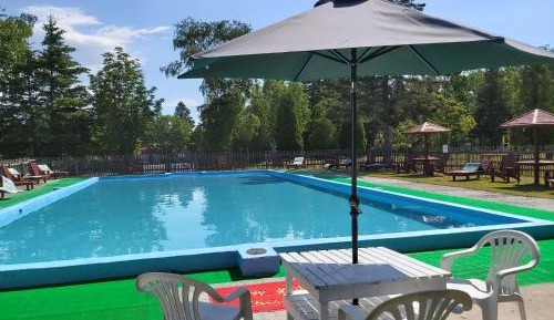 Double Room with Pool View-Carpet Floor 