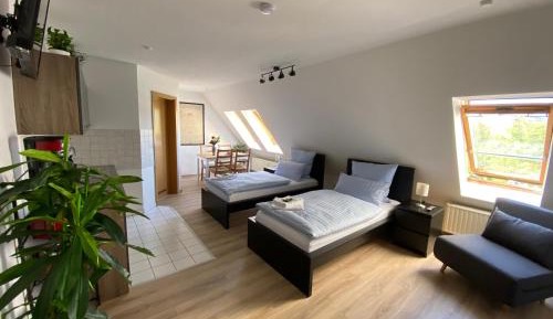 Deluxe One-Bedroom Apartment with City View