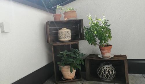 Apartment with Terrace
