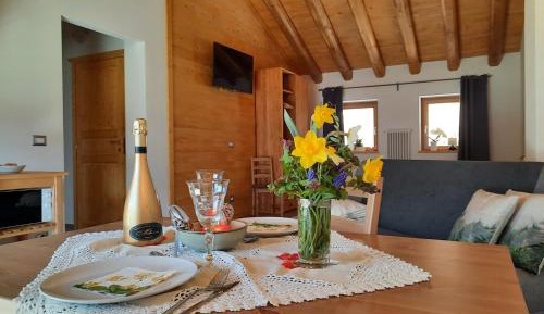 Apartment with Mountain View