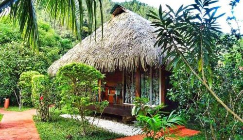 Family Bungalow