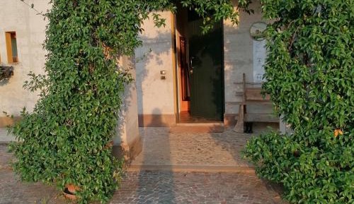 Studio with Garden View