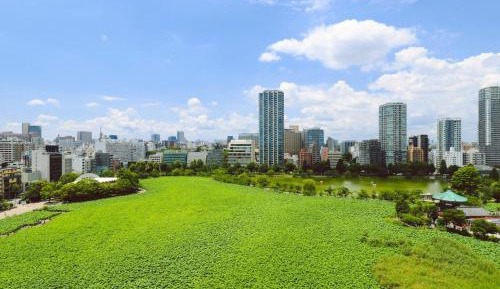 Single Room with Lake View and City View - Non-Smoking
