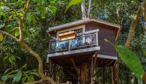 Lake View Tree House