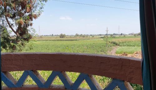 Double Room with Terrace