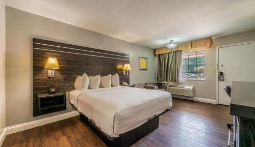 Queen Room - Disability Access