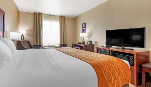 King Room - Non-Smoking/Pet Friendly