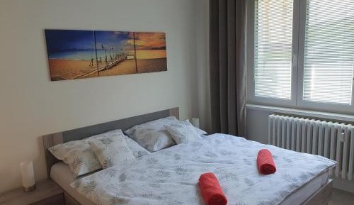 Apartment - Ground Floor