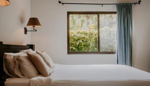 Queen Room with Garden View