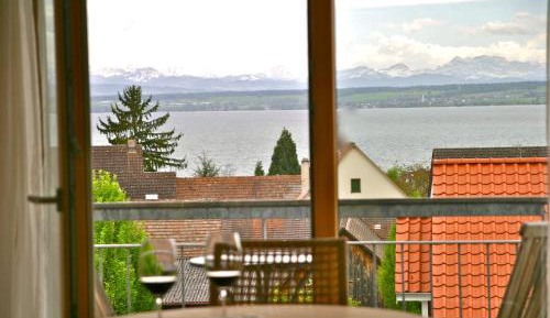 One-Bedroom Apartment with Lake View
