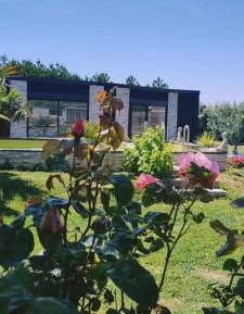 Double Room with Pool View