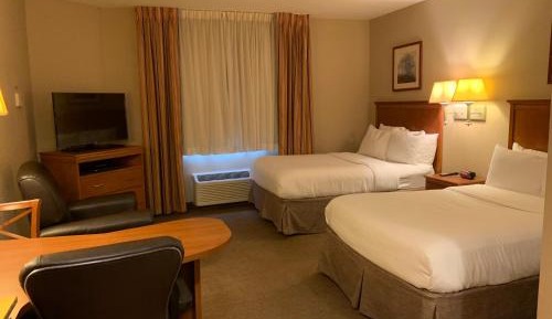 Studio Suite with Two Double Beds