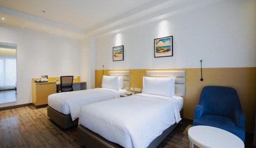 Deluxe Double or Twin Room with City View
