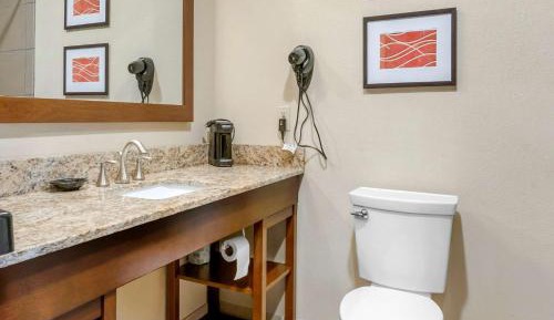 Deluxe King Suite - Non-Smoking