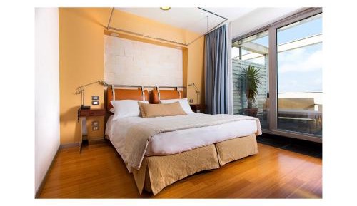 Deluxe Double or Twin Room with Terrace